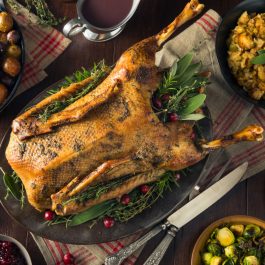 Christmas Goose