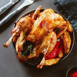 Christmas Guinea Fowl
