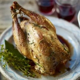 Pheasant (1)