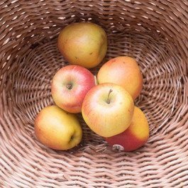 braeburn apples