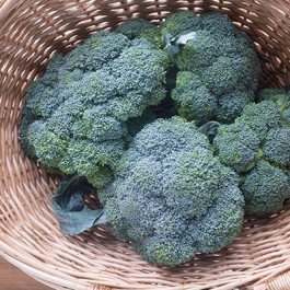 broccolli