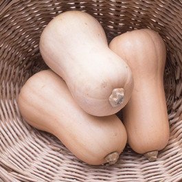 butternut sqaush