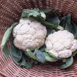cauliflower