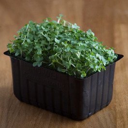 cress
