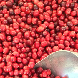 Fresh Cranberries