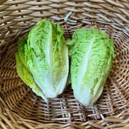 Little Gem Lettuce