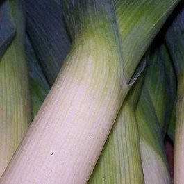 leeks
