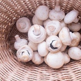 mushrooms