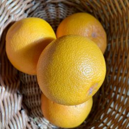 Pink Grapefruit