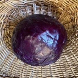 Red Cabbage