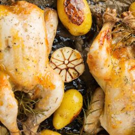 Poussin (1, Frozen)