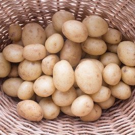 salad potatoes