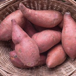 sweet potatoes