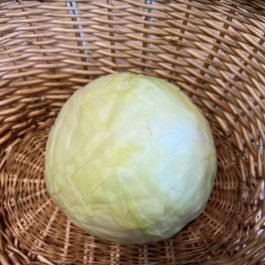 White Cabbage