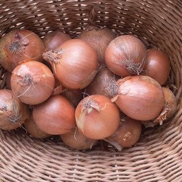 white onions